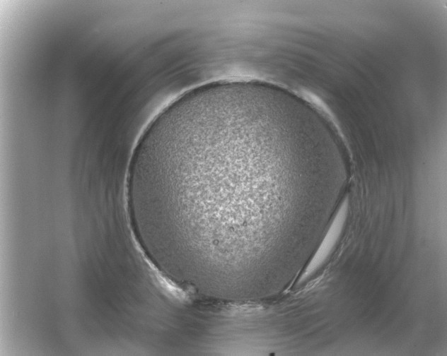 X0000063531183200601231534