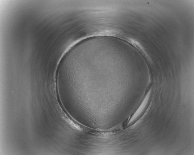 X0000063531184200601231534