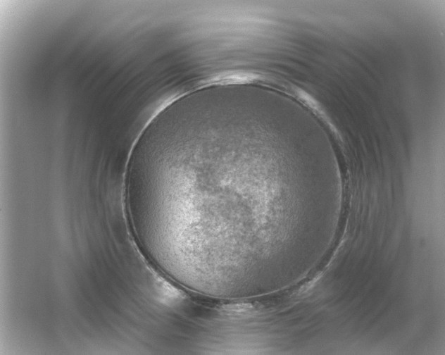 X0000063531186200601231534