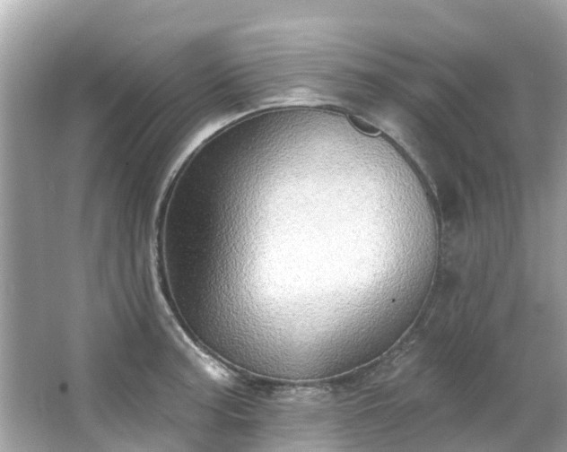 X0000063531187200601231534