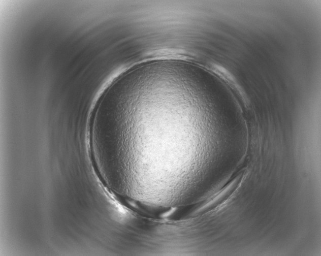 X0000063531188200601231534