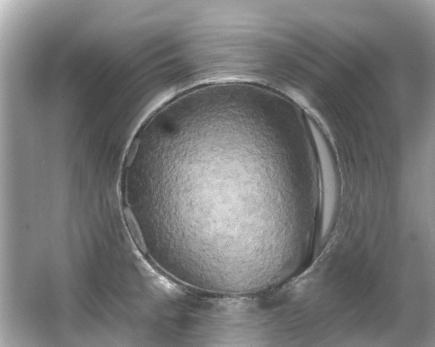 X0000063531189200601231534