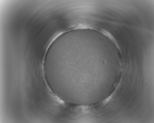 X0000063531190200601231534