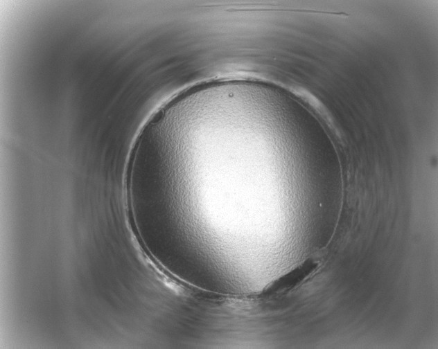 X0000063531191200601231534