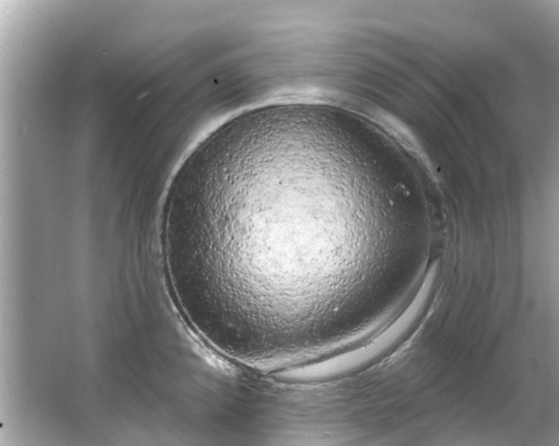 X0000063531192200601231534