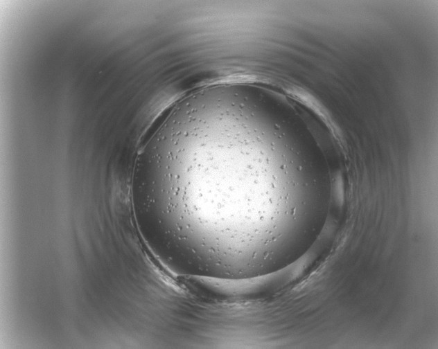 X0000063531193200601231533