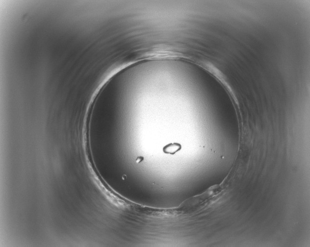 X0000063531195200601231533