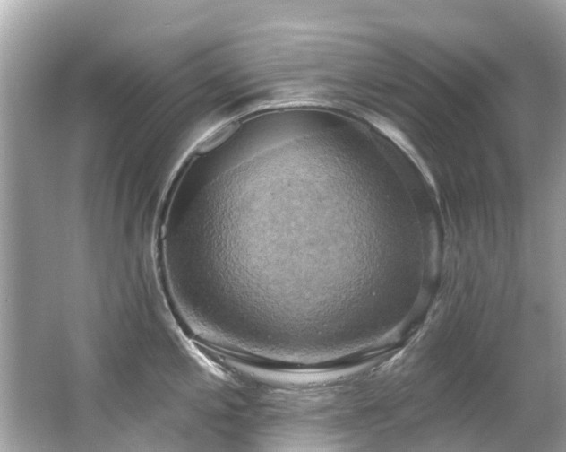 X0000063531197200601231533