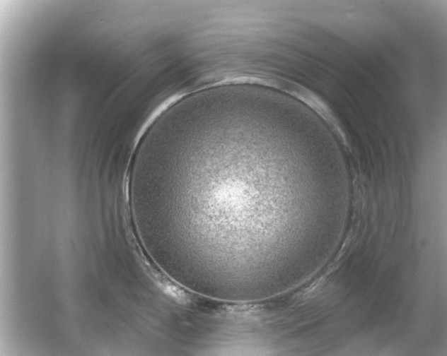 X0000063531198200601231533