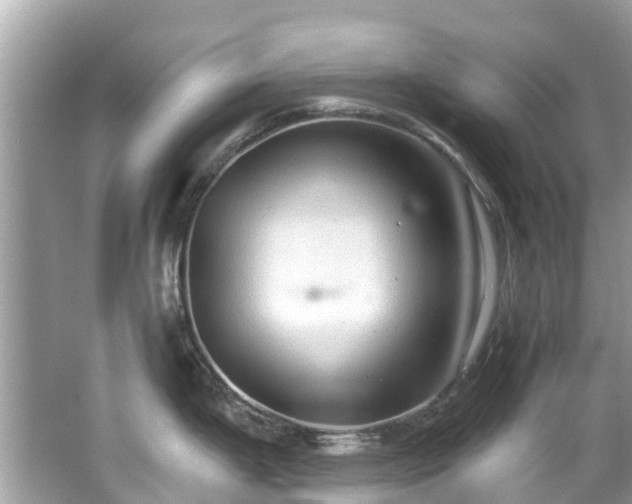 X0000063531199200601231533