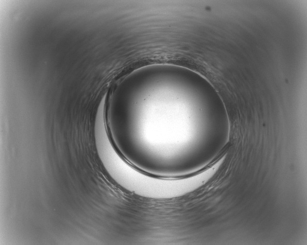 X0000063531202200601231533