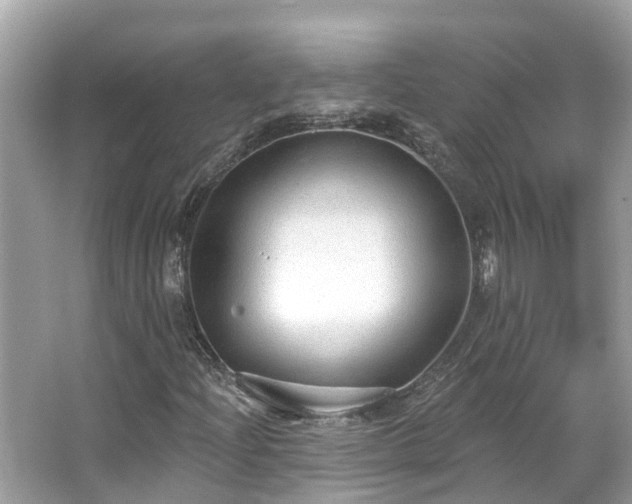 X0000063531204200601231533