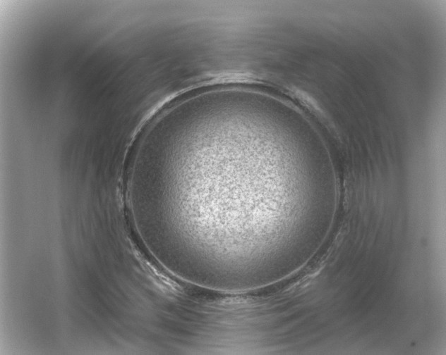 X0000063531212200601231533