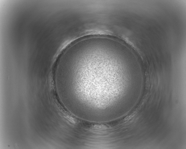 X0000063531215200601231533