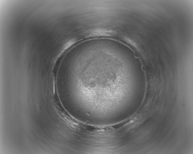 X0000063531219200601231533