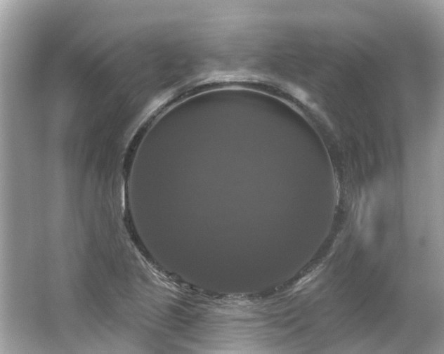 X0000063531221200601231533