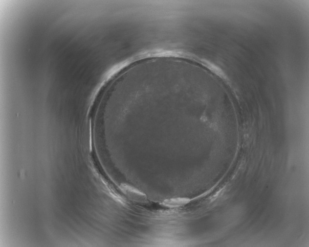 X0000063531223200601231533