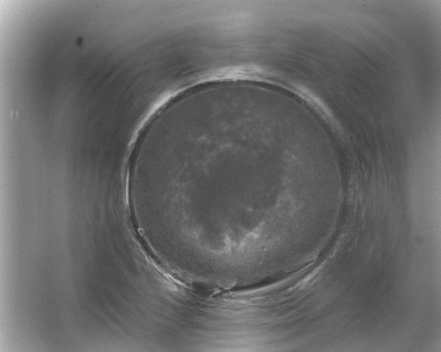 X0000063531224200601231533