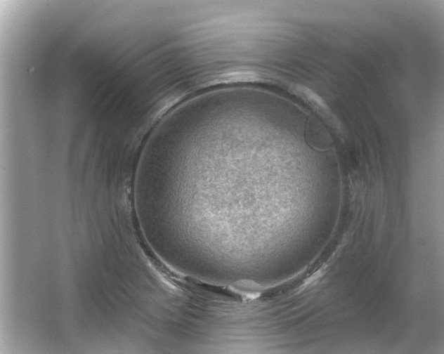 X0000063531225200601231533