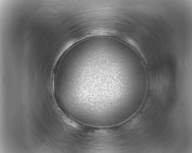 X0000063531227200601231533