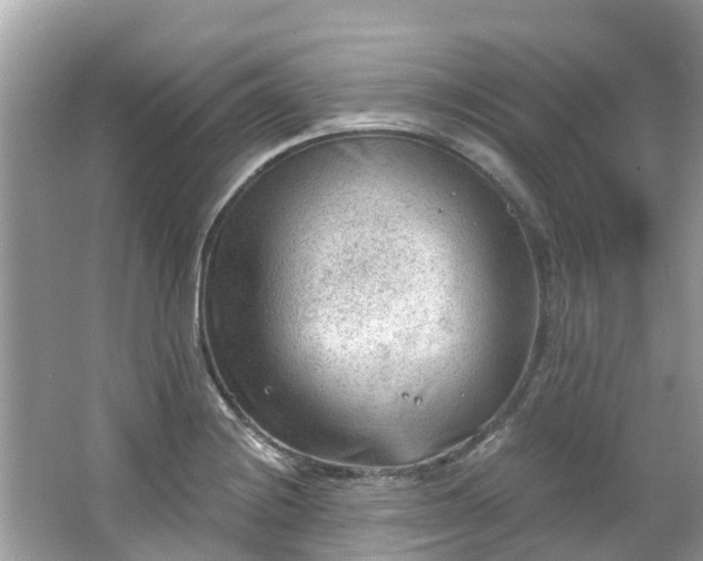 X0000063531228200601231533