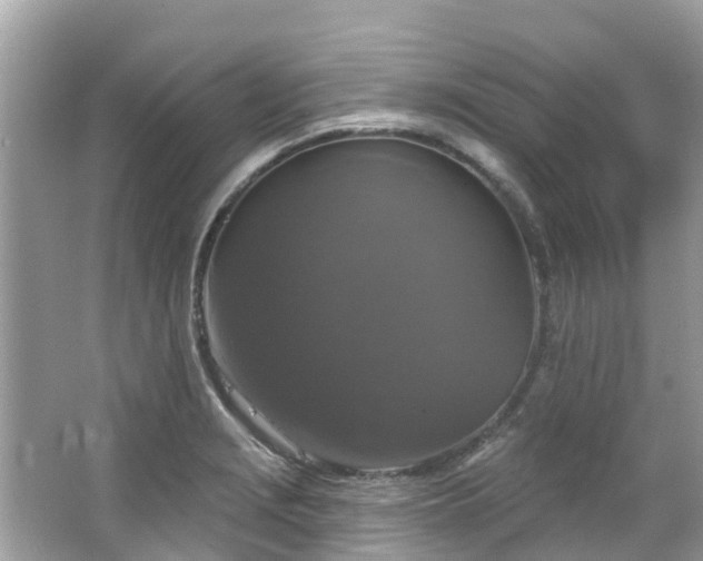 X0000063531229200601231533