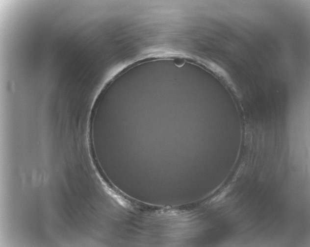 X0000063531231200601231533