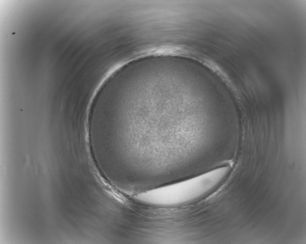 X0000063531232200601231533