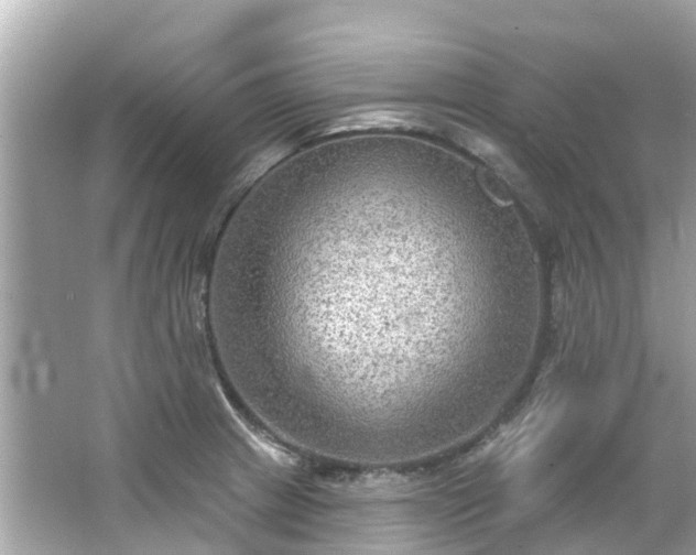 X0000063531233200601231533