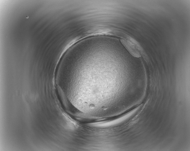 X0000063531234200601231533