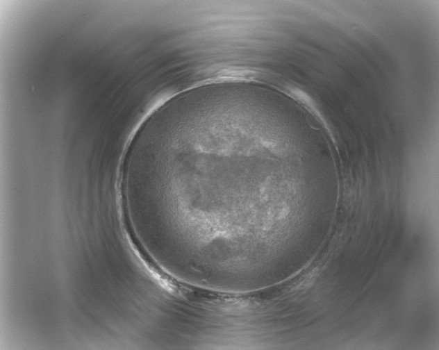 X0000063531235200601231533