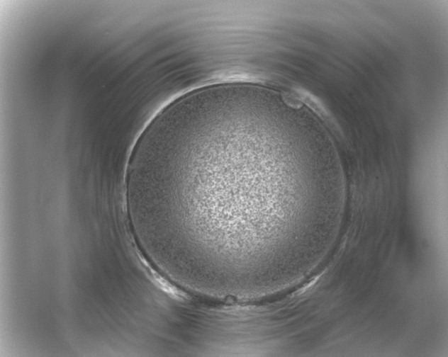 X0000063531236200601231533