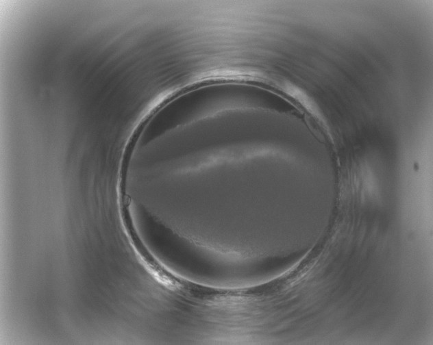 X0000063531237200601231533