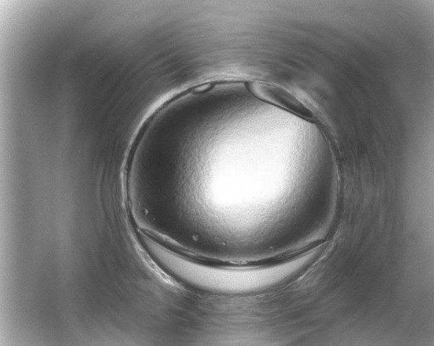 X0000063531238200601231533