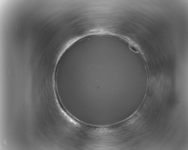 X0000063531239200601231533