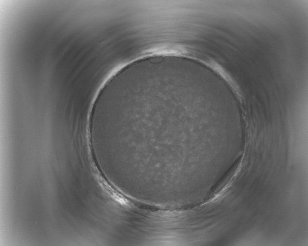 X0000063531240200601231533