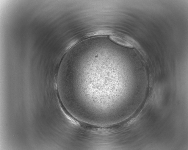 X0000063531241200601231533