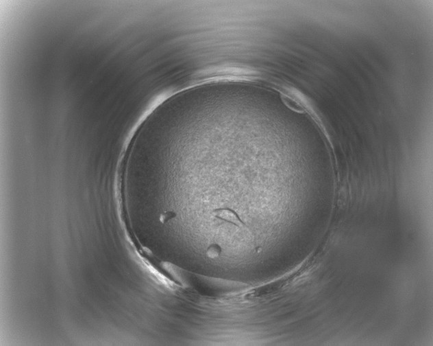 X0000063531243200601231533