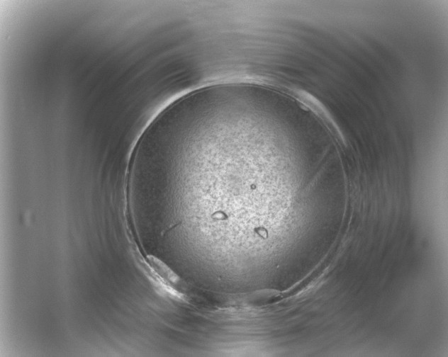 X0000063531244200601231533