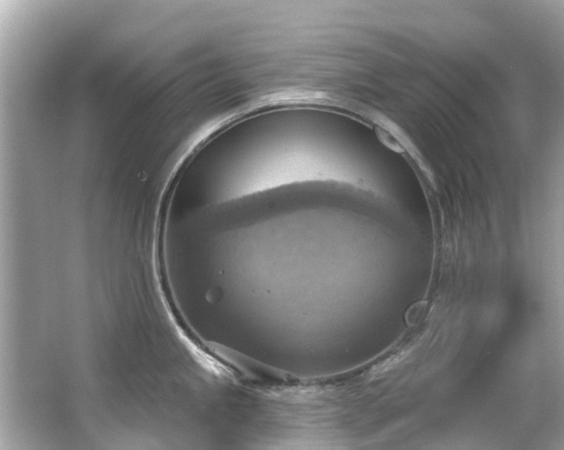 X0000063531245200601231533