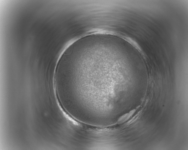 X0000063531247200601231533