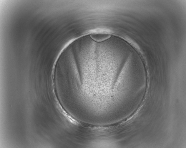 X0000063531248200601231533