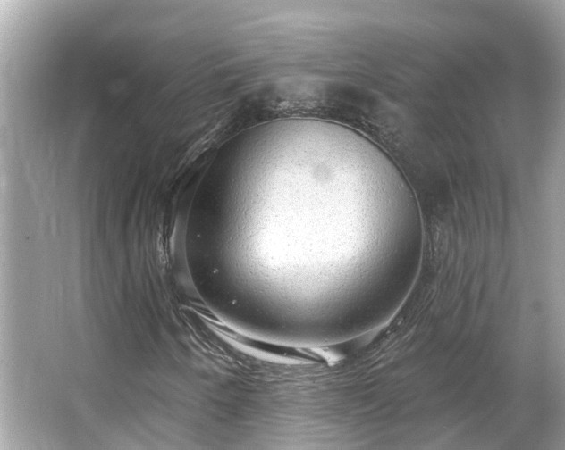 X0000063531250200601231533