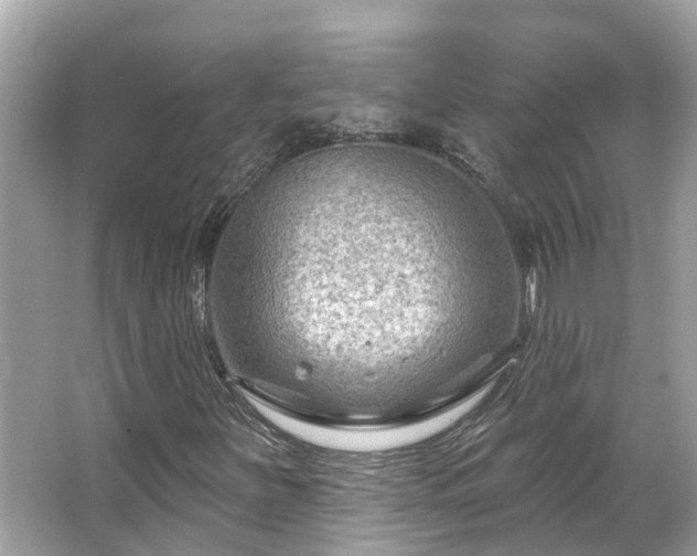 X0000063531251200601231533