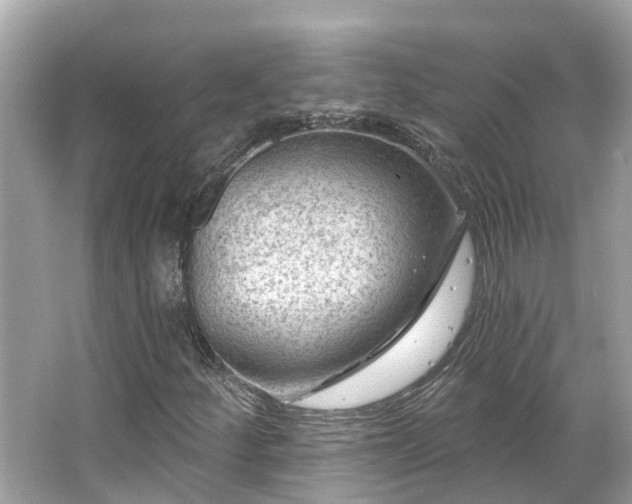 X0000063531252200601231533