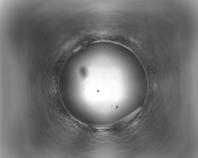 X0000063531253200601231532