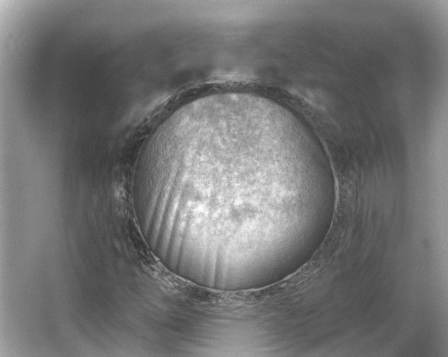 X0000063531254200601231532