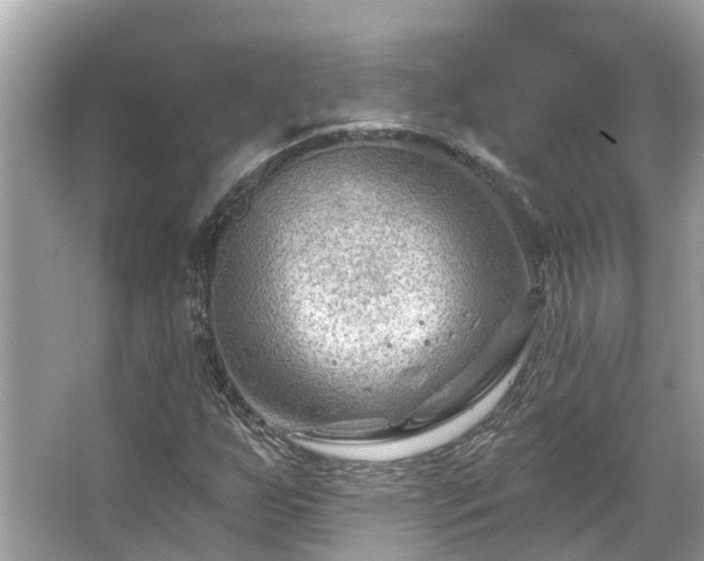 X0000063531255200601231532