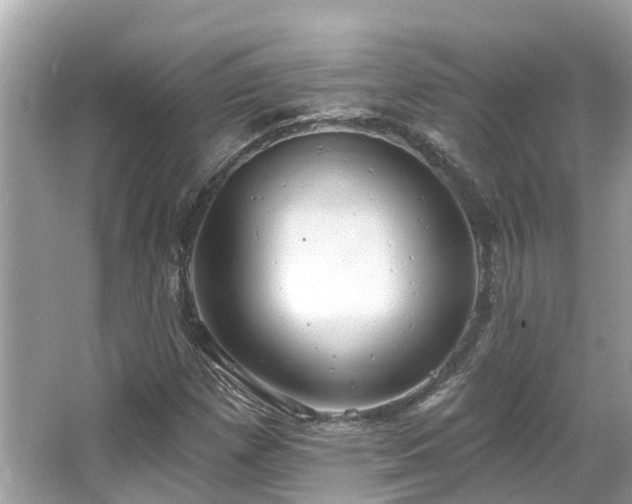 X0000063531257200601231532