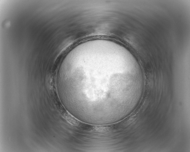 X0000063531258200601231532